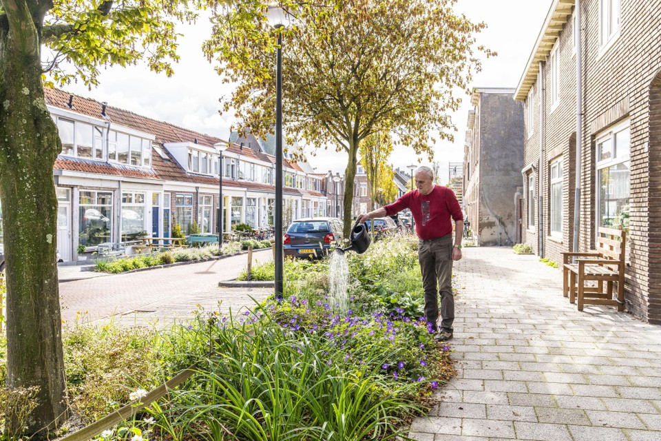 Bij de herinrichting van buurten en straten maakt Leiden tegenwoordig veel werk van wateropvang.