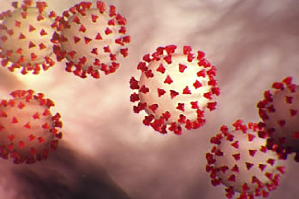 Impressie van het coronavirus van het Amerikaanse Centers for Disease Control and Prevention.