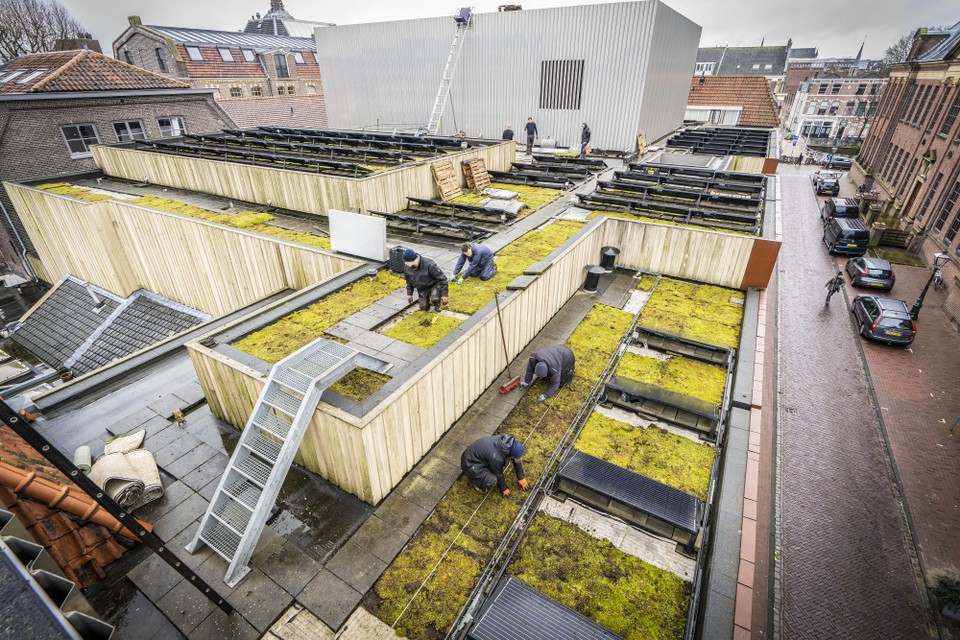 Het dak van muziekcentrum De Nobel werd al eerder ’begroeid’.