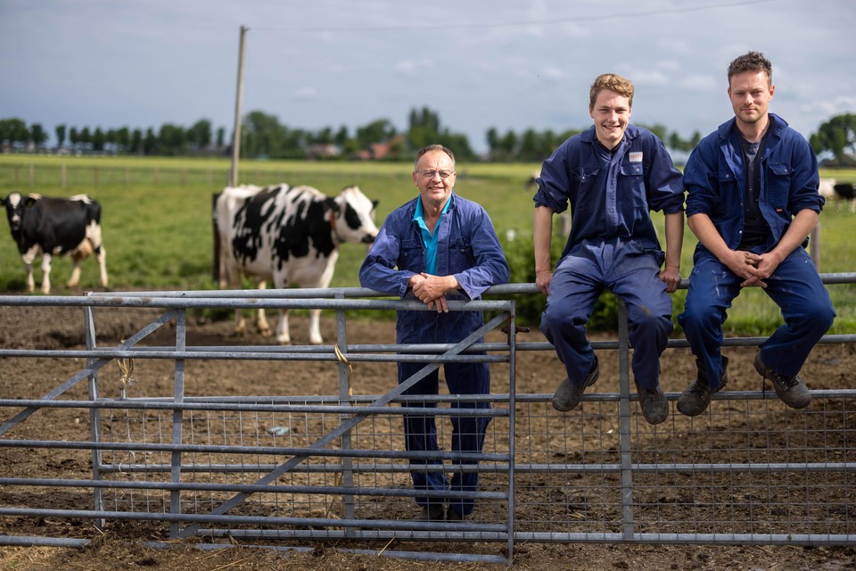 Veehouder Piet Köhne, stagiair Joost Kruiswijk en Daan Köhne (zoon van Piet) bij hun bedrijf in Middenbeemster.