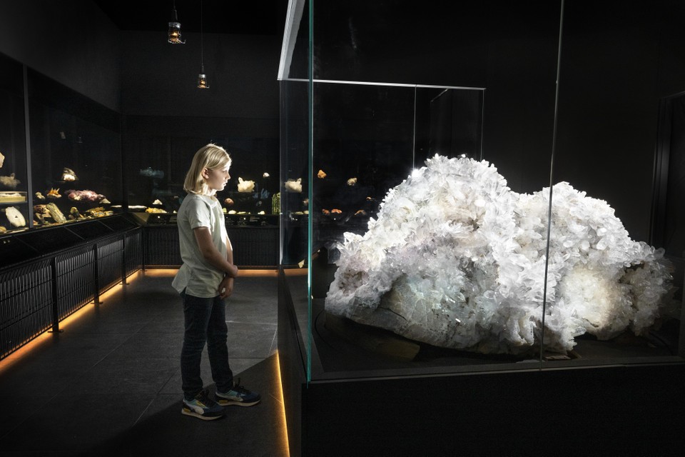 Het kolossale kristal dat vanaf zaterdag te bewonderen is in Naturalis.