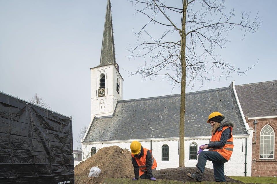 Archeologisch onderzoek in de plantgaten voor de nieuwe bomen rond de Witte Kerk in Noordwijkehout. Inzet: het eerste complete skelet dat werd aangetroffen.