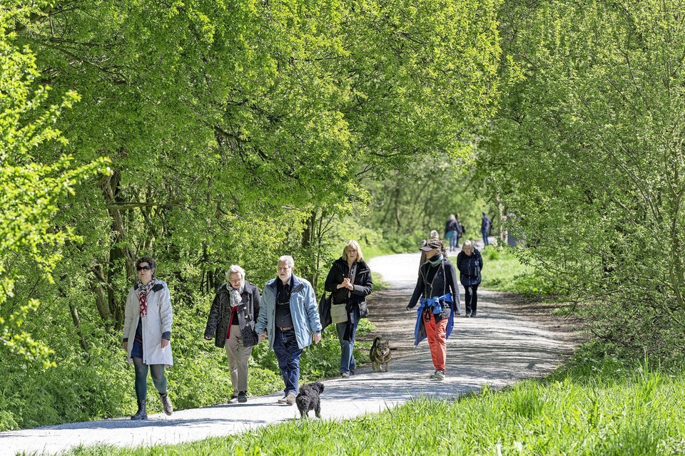 Wandelaars in een groen polderpark Cronesteyn.
