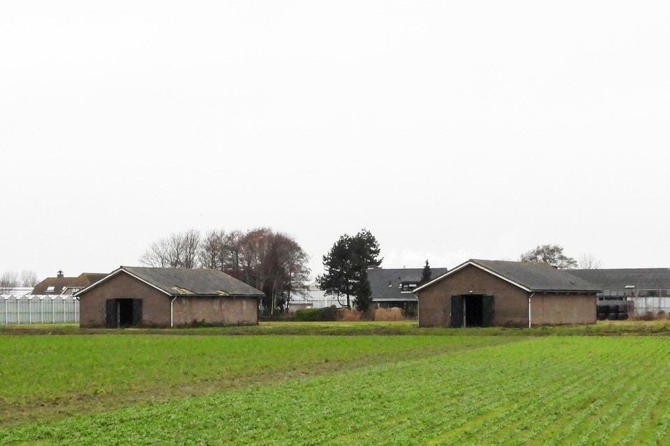 De bewuste barakken die zichtbaar zijn vanaf de Rijnsburgerweg in Voorhout.