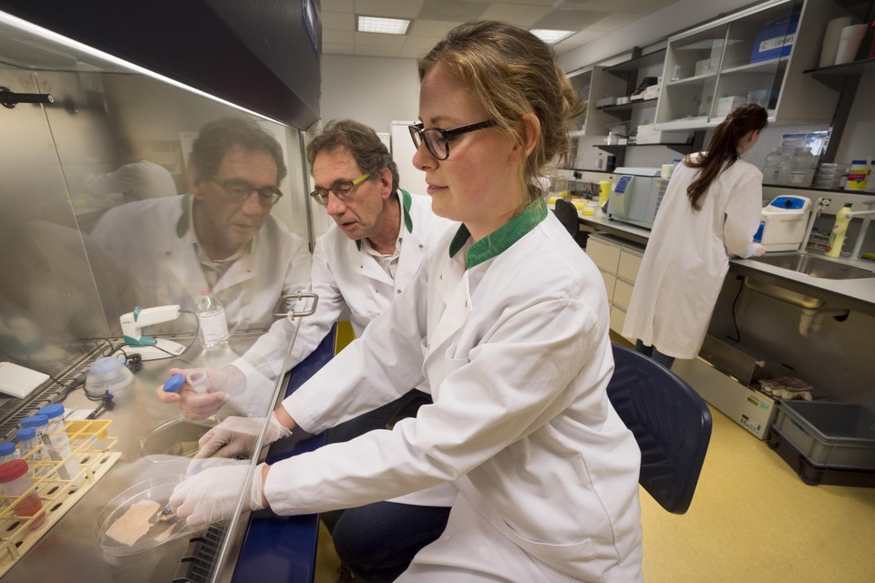 Peter Nibbering en collega-onderzoeker Anna de Breij onderzoeken een stukje huid in het lab.