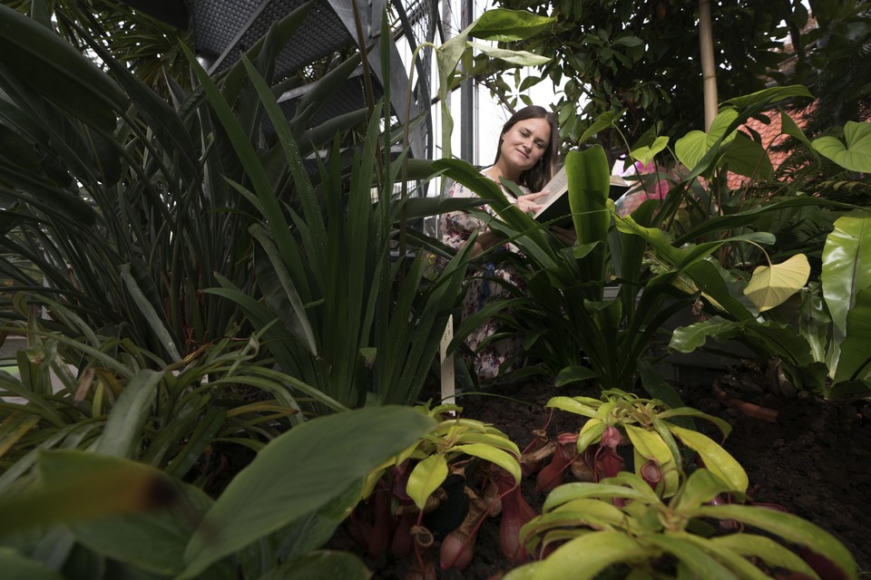 Anastasia Loginova leest voor aan vleesetende planten in de winterkas van Hortus botanicus.