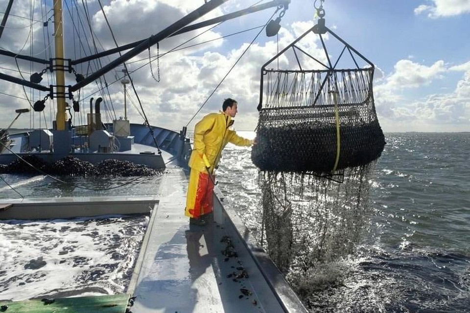 Een visser aan het werk op de Noordzee.