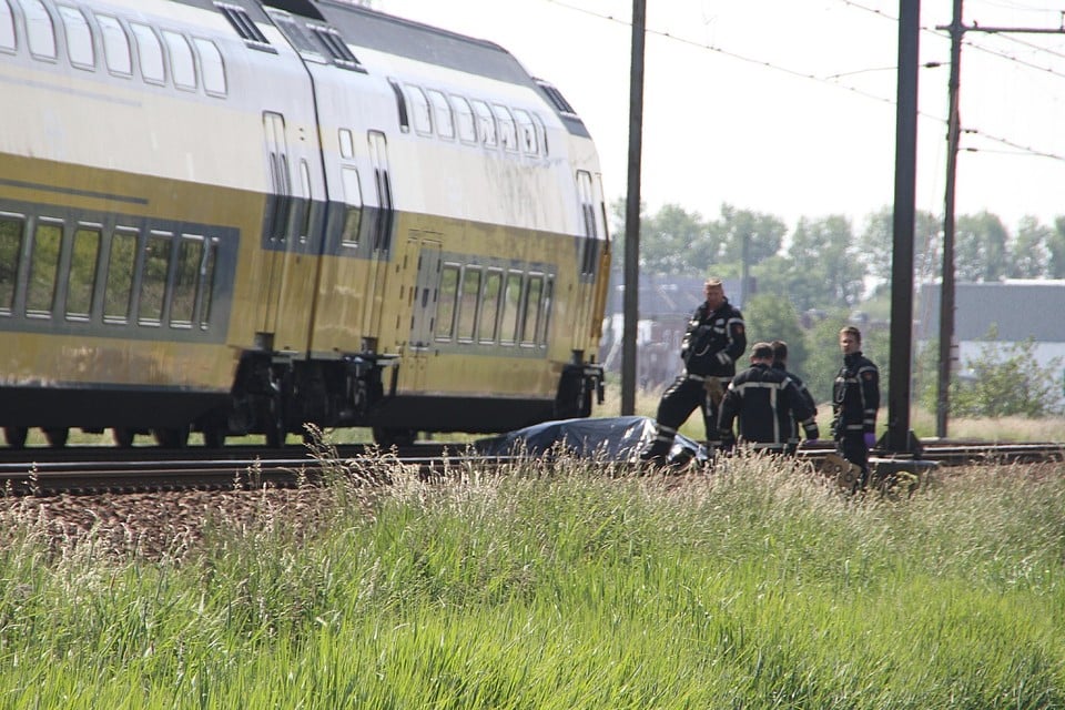 Paard dood door aanrijding met trein in Voorhout. Foto: Leon Gielen