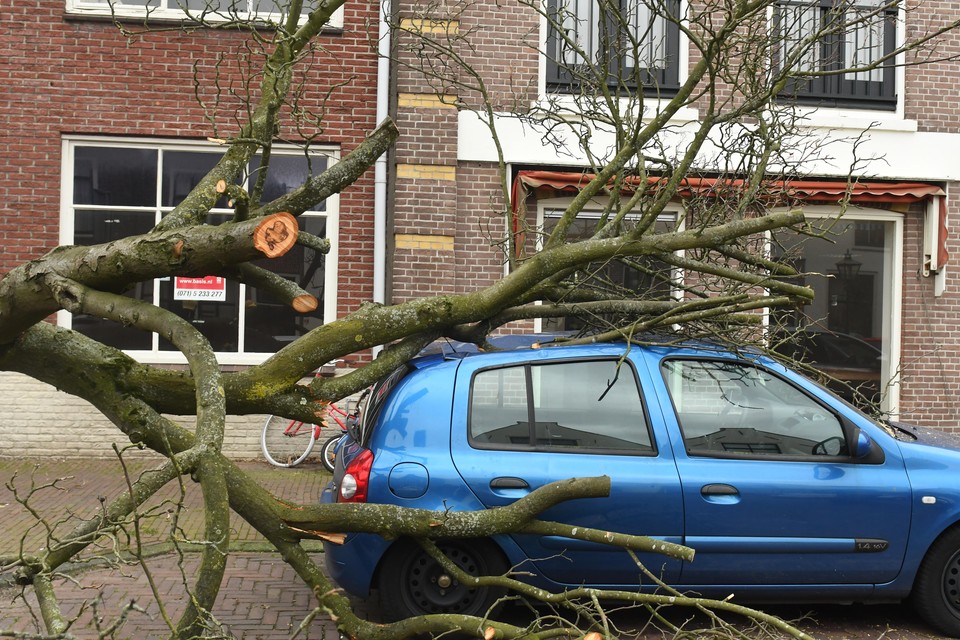 Omstreeks 15.30 uur waaide een boom op een geparkeerde auto aan de Gerestraat in Leiden.