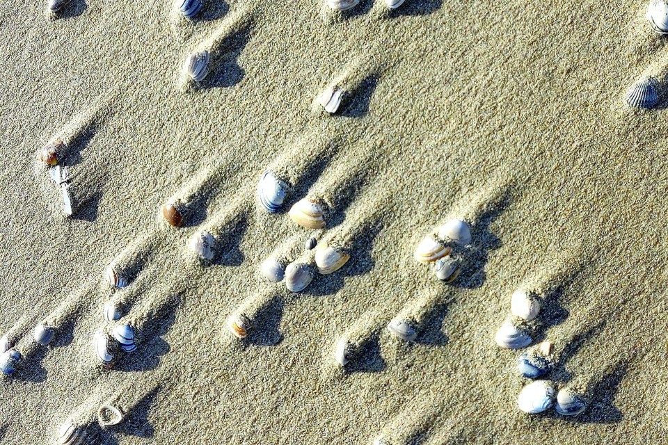 De storm blaast het zand tussen de schelpen weg, waardoor zich achter die schelpen kleine duintjes vormen.