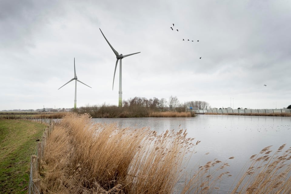 Windturbines langs de A4 bij Zoeterwoude. In de regio wordt nog relatief weinig groene stroom opgewekt.