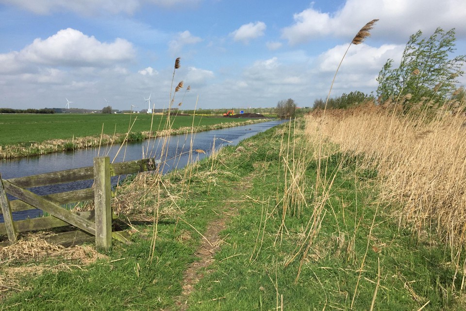 De polder naast de N11 achtte GroenLinks een goede bouwlocatie.