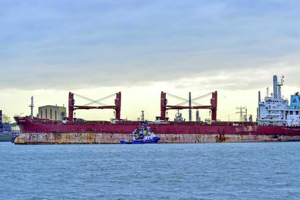 Het Duitse vrachtschip Julietta D, dat gisteren voor de kust van IJmuiden in botsing kwam met een olietanker en beschadigd raakte, is aangekomen in de haven van Rotterdam.