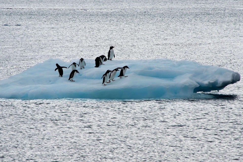 Het sneller smelten van de ijskappen op Antarctica leidt mogelijk aan het eind van de eeuw tot een zeespiegelstijging van twee tot drie meter.