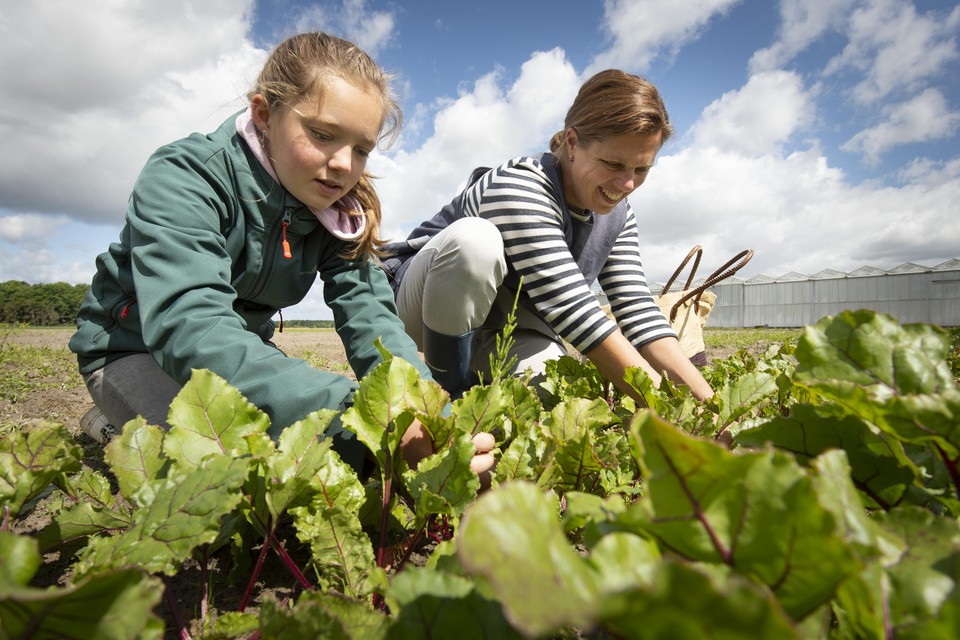 Marjolijn Balk oogst met haar dochter de ingredënten voor haar steeds populairdere groenteburgers.