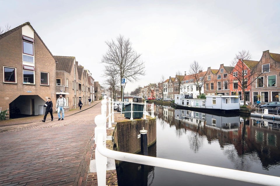 In de Havenwijk-Zuid zijn inwonersgroepen relatief gelijk verdeeld. Aan de linkerkrant van de Herengracht staan corporatiehuizen, aan de rechterkant koophuizen.