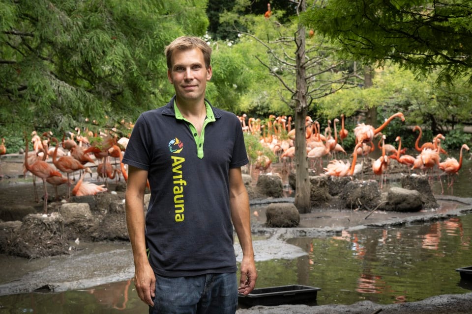 Dennis Appels (37) is trots op alle flamingo’s.
