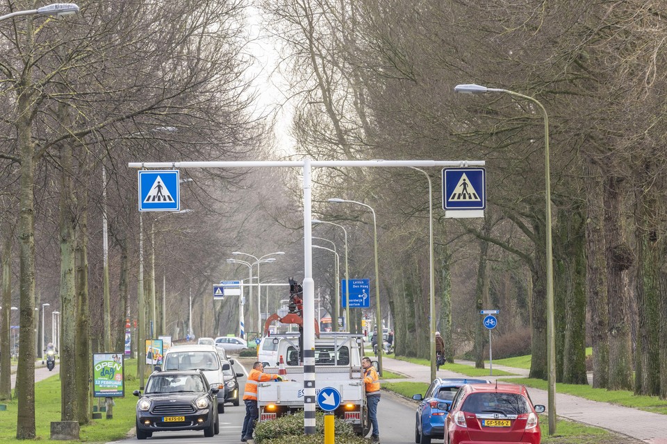 De gemeente Katwijk wil de bomenrijen langs de Zeeweg sparen.