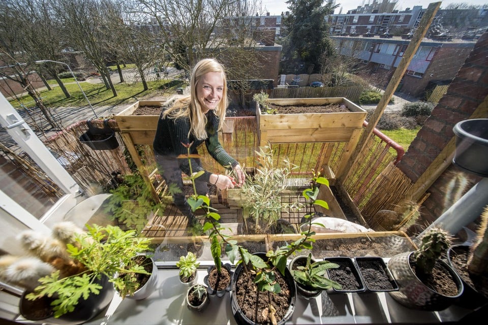 Linda Nijhof, ’tuinier zonder tuin’, op haar balkontuin. Zelfs nu heeftze nog knoflook en winterharde kruiden.