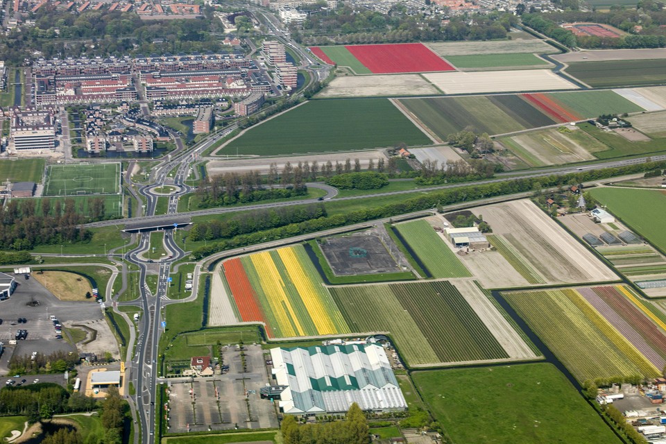 Het college van Noordwijk wil de bollenvelden in Bronsgeest (bovenste helft van de foto) behouden.