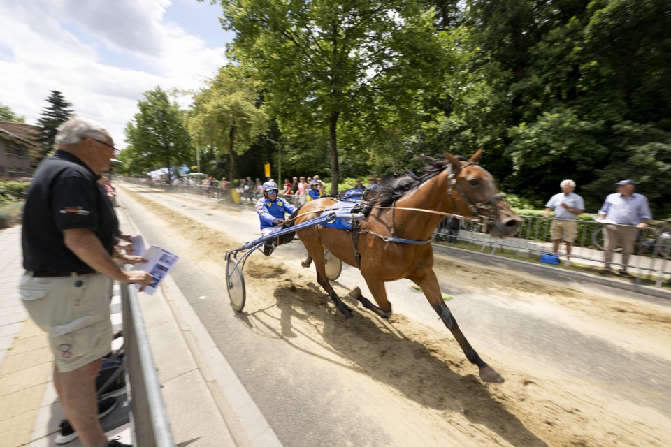 De kortebaandraverij aan de Herenweg trok geen drommen publiek maar degenen die er waren genoten van de paardenrace.