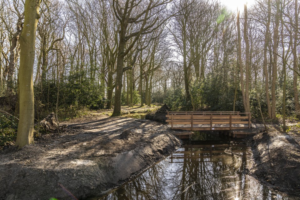 Een van de nieuwe bruggen in park Overbosch.