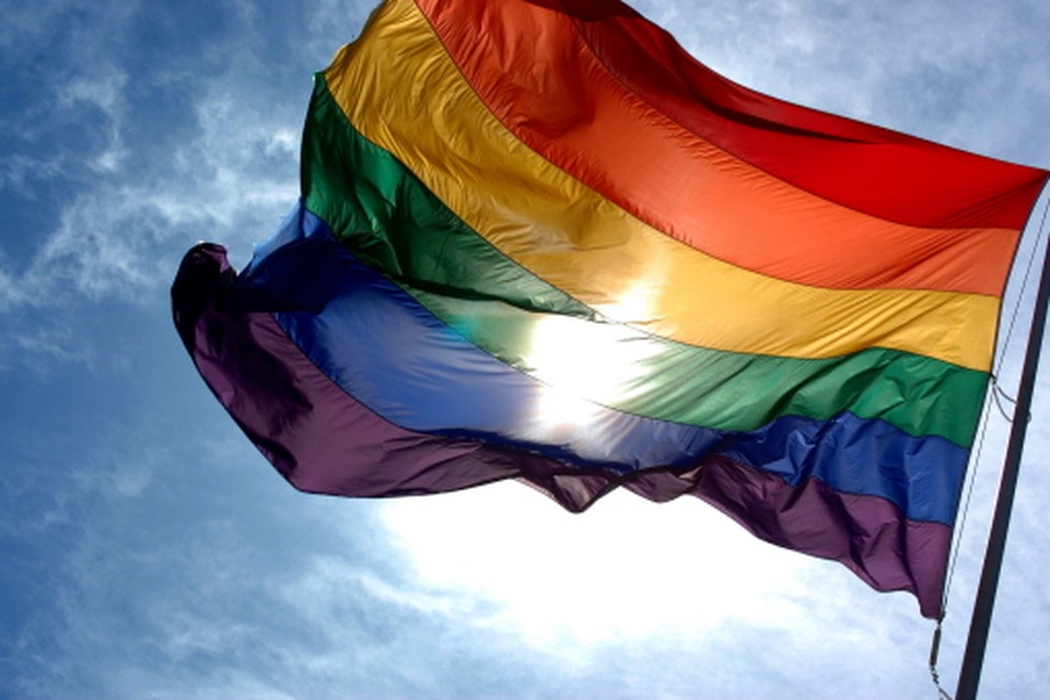 De regenboogvlag wordt gehesen voor de acceptatie en participatie van homoseksuelen.
Archieffoto Ludovic Burtron