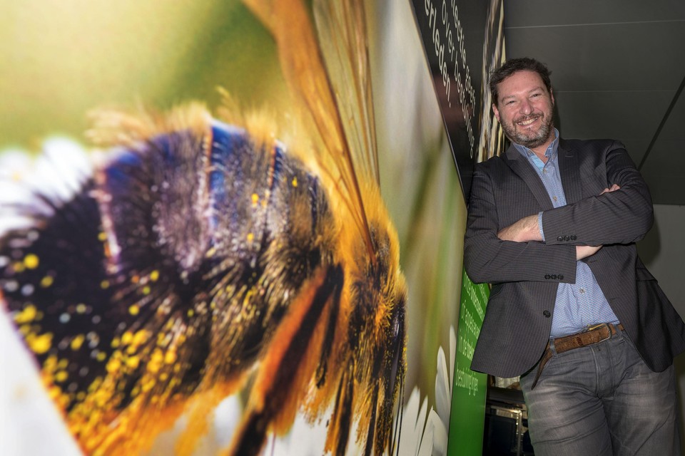 Koos Biesmeijer is wetenschappelijk directeur bij Naturalis en doet onderzoek naar bijen. Sinds vorig jaar is hij ook hoogleraar aan de Universiteit Leiden.