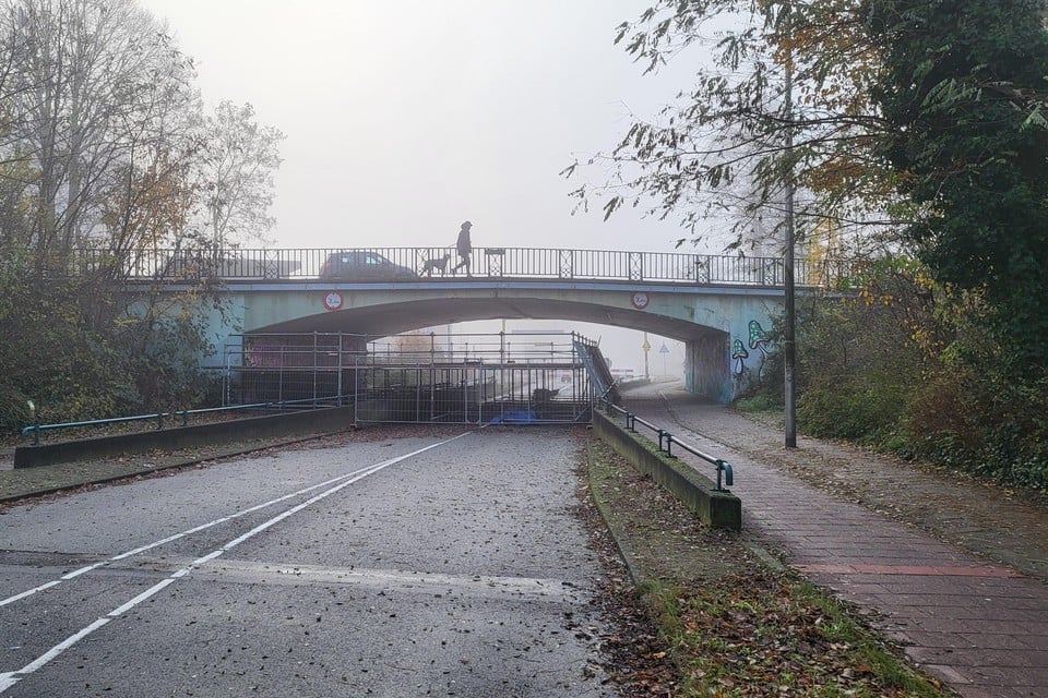 De brug aan de Ruishornlaan.