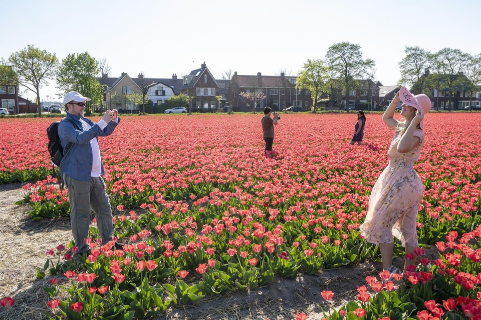 Toeristen poseren voor een kleurrijke foto in een bloembollenveld bij De Engel.