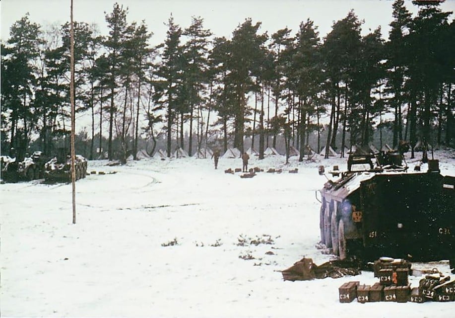 In de verte een rij puptentjes in een Duits bos. 1974.