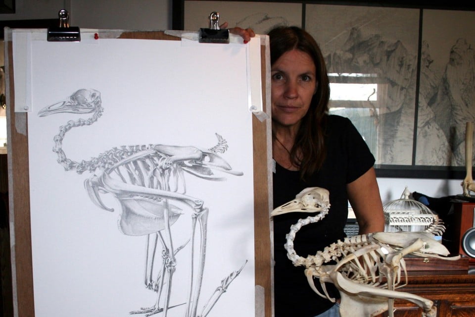 Katrina de Grouw met het weer in elkaar gezette skelet en haar tekening van een trap, een loopvogel. Foto Naturalis