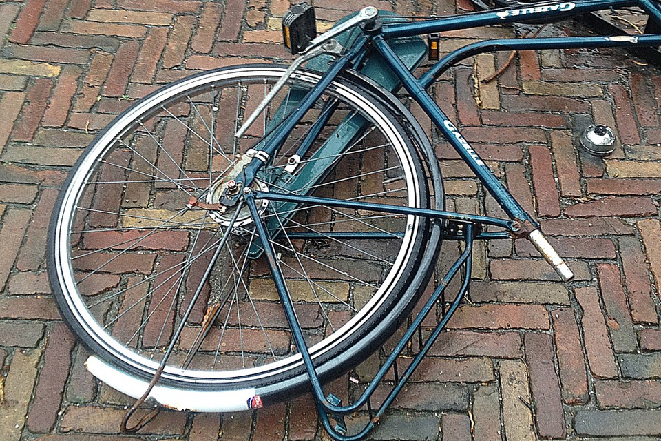 Rivierduinen Leiden opent fiestenwerkplaats en tijdelijke galerie archieffoto