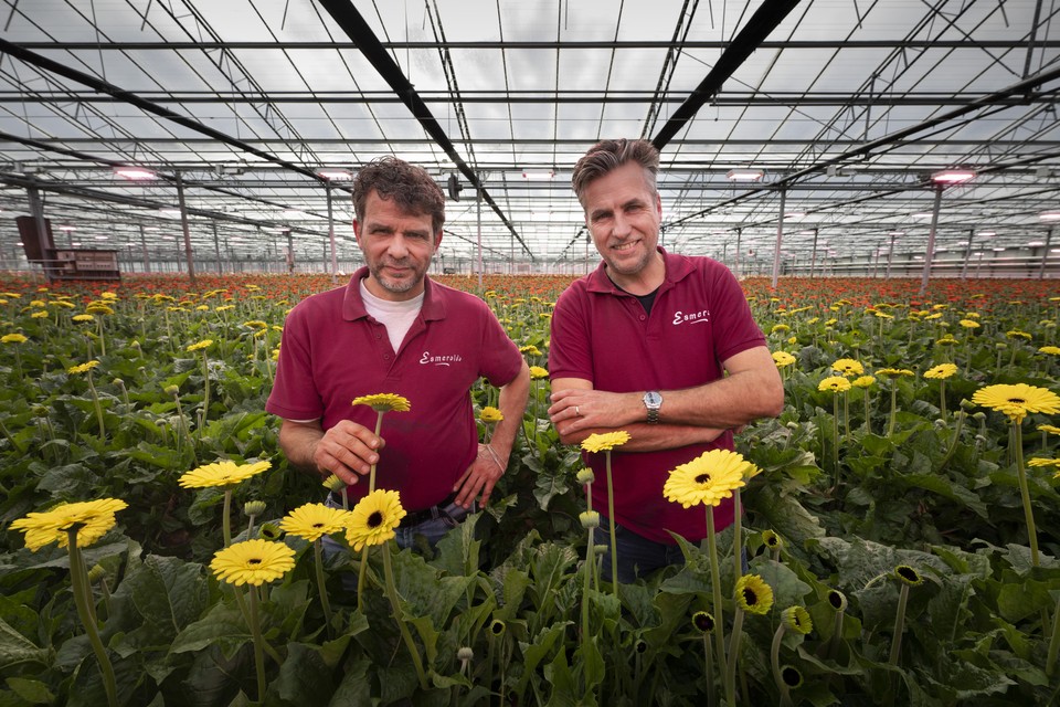 Marcel van Vliet en Gerben Wessels produceren bloemen en elektriciteit.