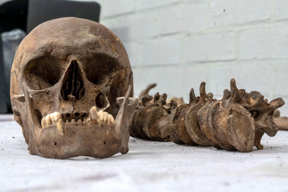 Onderzoeksbureau RAAP en studenten archeologie doen de komende jaren onderzoek naar Arnhemse skeletten.