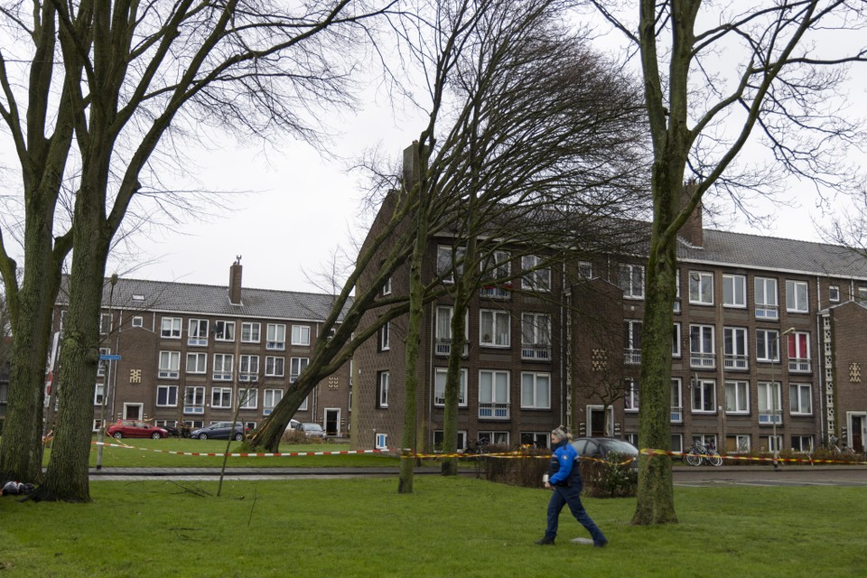 In Beverwijk is een boom maandag tegen een flat gewaaid.