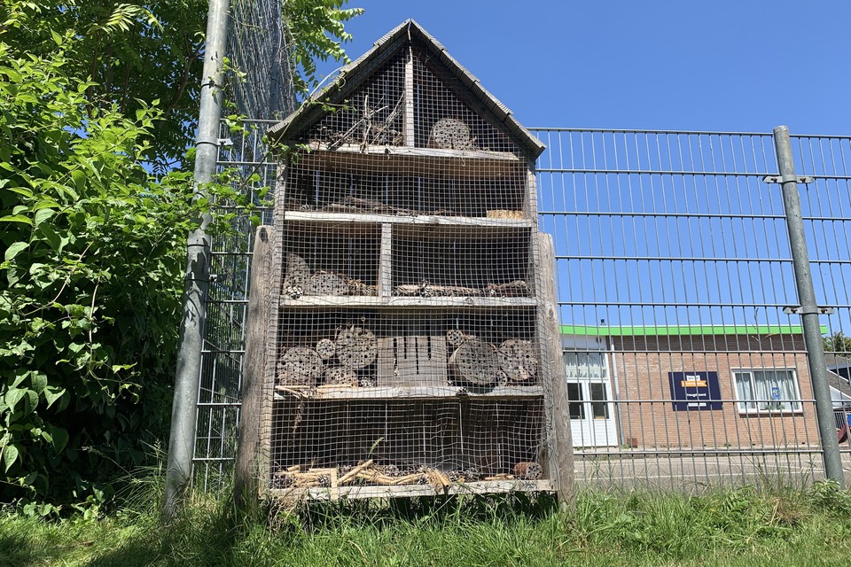 Er moeten in Alphen meer insectenhotels komen zoals hier in speeltuin Vreugdeoord, vindt wethouder Noordermeer.