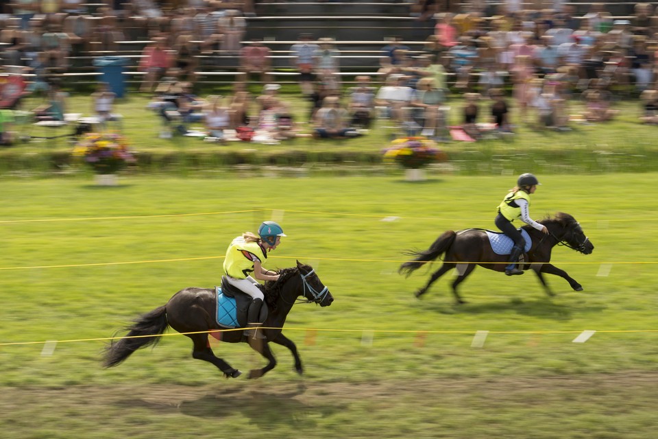 Honderden belangstellenden volgen het ponyrennen voor kinderen.