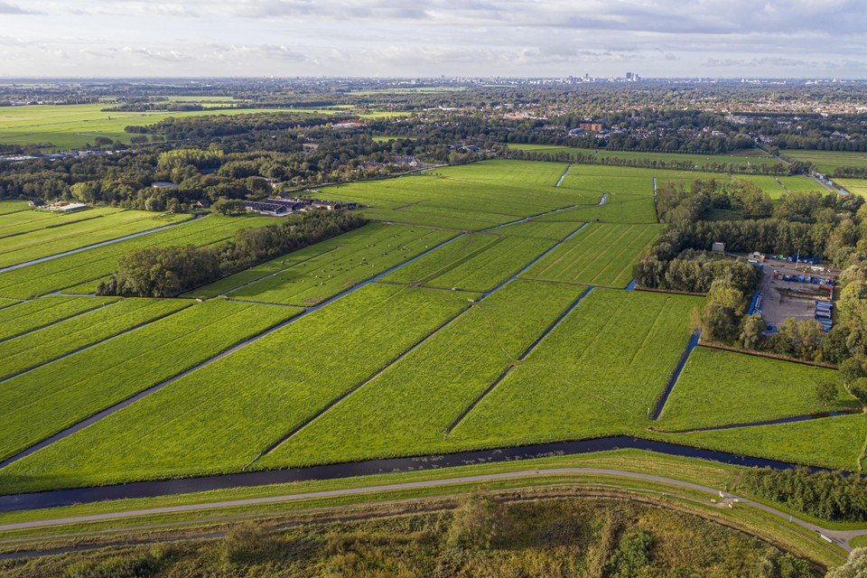 Wassenaar vecht voor behoud van een groene buffer van minimaal 1500 meter tot het nieuwe dorp Valkenhorst.