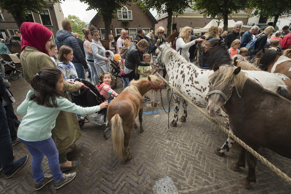 Paardenmarkt in Voorschoten, vorige maand.