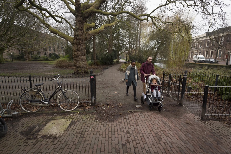 Het Van der Werfpark in Leiden.