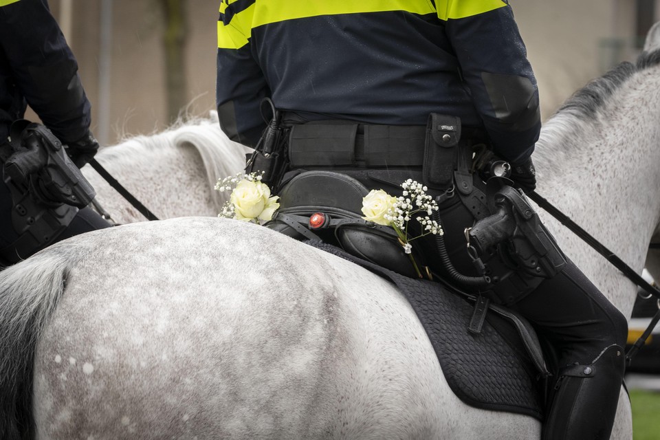 Ook de leidende agenten te paard dragen witte rozen voor Esmee.